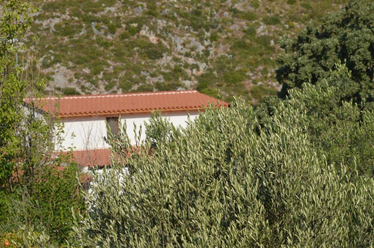 Tolis Rooms Himarë Exteriér fotografie